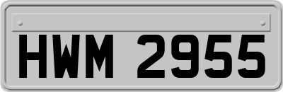 HWM2955
