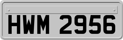 HWM2956