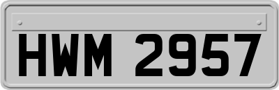 HWM2957
