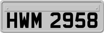 HWM2958