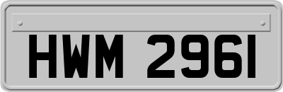 HWM2961