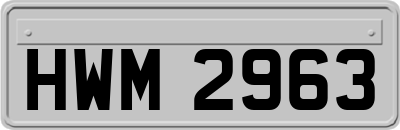 HWM2963