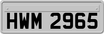 HWM2965