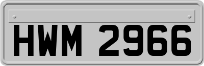 HWM2966
