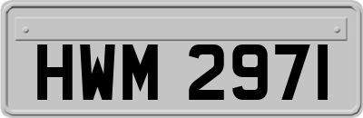 HWM2971
