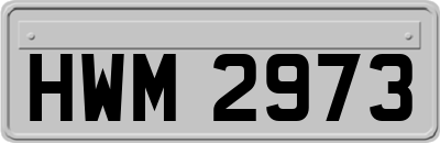 HWM2973
