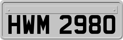 HWM2980