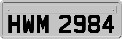 HWM2984