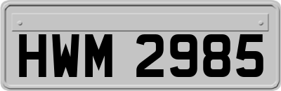 HWM2985