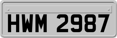 HWM2987
