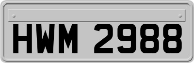HWM2988