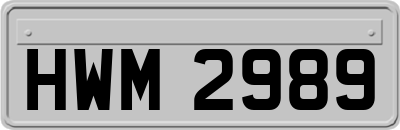 HWM2989