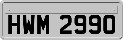 HWM2990
