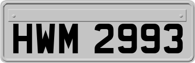 HWM2993