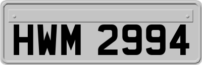 HWM2994