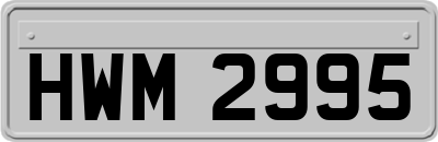HWM2995