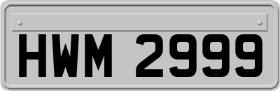 HWM2999