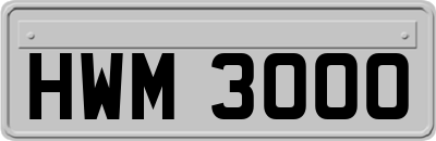 HWM3000