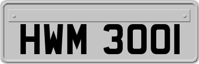 HWM3001