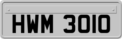 HWM3010