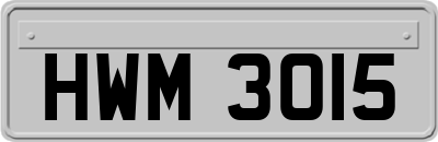 HWM3015