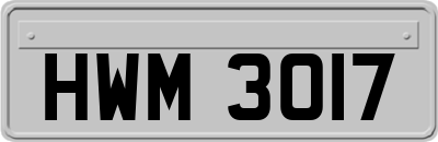 HWM3017