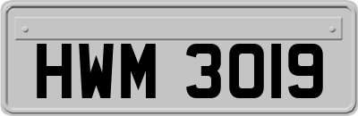 HWM3019