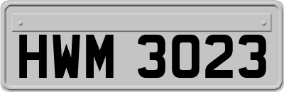 HWM3023