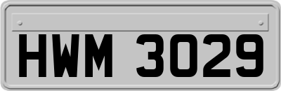 HWM3029