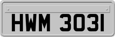 HWM3031