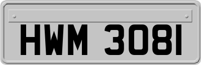 HWM3081