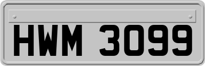 HWM3099
