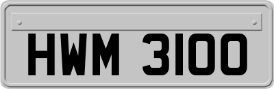 HWM3100