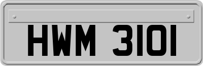 HWM3101