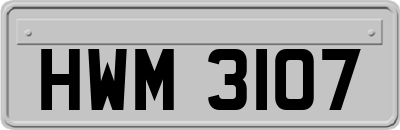 HWM3107