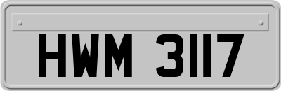 HWM3117