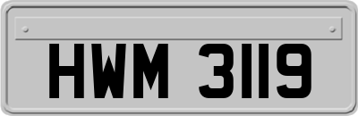 HWM3119