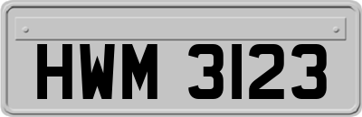 HWM3123