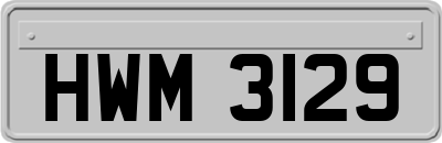 HWM3129