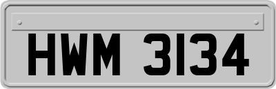 HWM3134