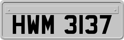HWM3137