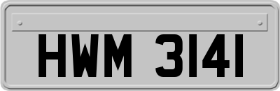 HWM3141