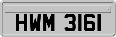 HWM3161