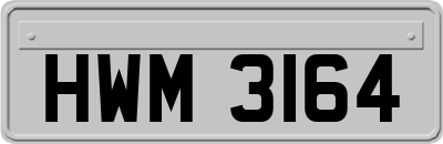 HWM3164