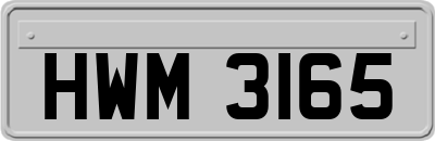 HWM3165