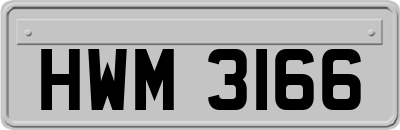 HWM3166