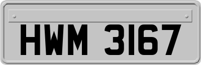 HWM3167