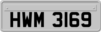 HWM3169