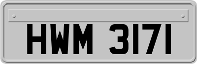 HWM3171