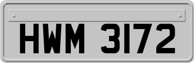 HWM3172